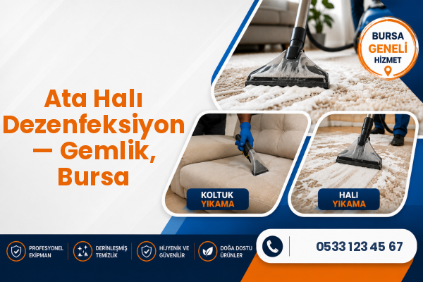Ata Halı Dezenfeksiyon — Gemlik, Bursa