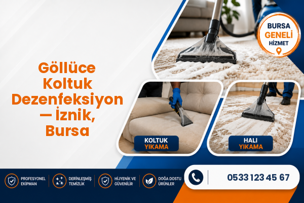 Göllüce Koltuk Dezenfeksiyon — İznik, Bursa