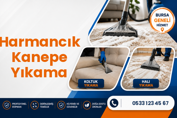 Harmancık Kanepe Yıkama