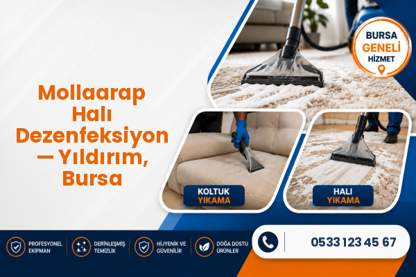 Mollaarap Halı Dezenfeksiyon — Yıldırım, Bursa