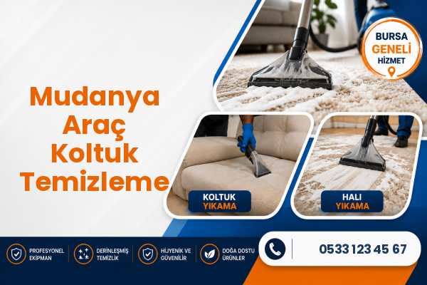 Mudanya Araç Koltuk Temizleme