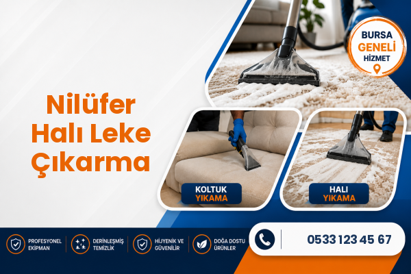 Nilüfer Halı Leke Çıkarma
