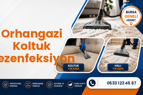 Orhangazi Koltuk Dezenfeksiyon